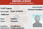 Drivers licence